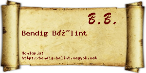 Bendig Bálint névjegykártya